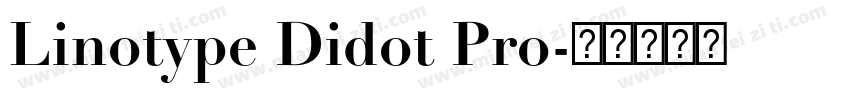 Linotype Didot Pro字体转换